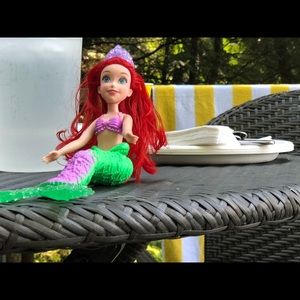 Meet your Posher, Ellen